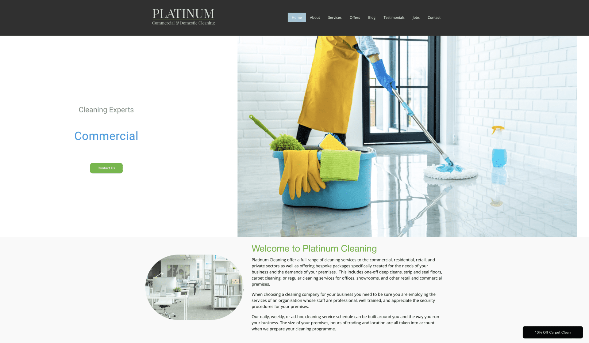 Platinum cleaning service Painting Pixels cleaning service commercial website redesign logo render revamp design studio multimedia