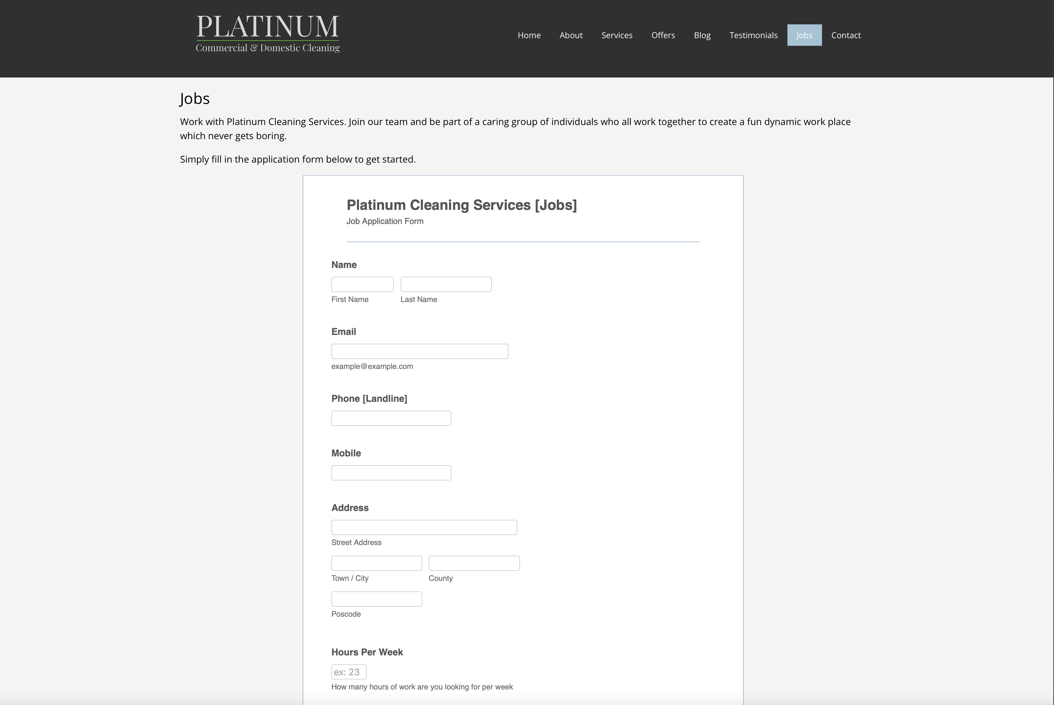Platinum cleaning website painting pixels about page digital marketing campaign social media website redesign