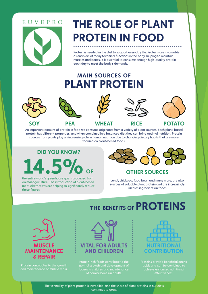 201222 EUVEPRO Infographics Infographic 1 Different types of vegetable protein